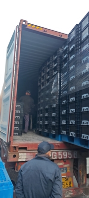 600*400mm ESD Plastik Kutusu ESD Depolama Kutusu Elektronik parçalar için iletken kutu